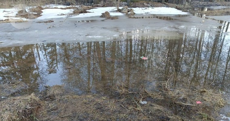 Роспотребнадзор: в подтопленных районах Удмуртии сохраняется стабильная санитарная обстановка