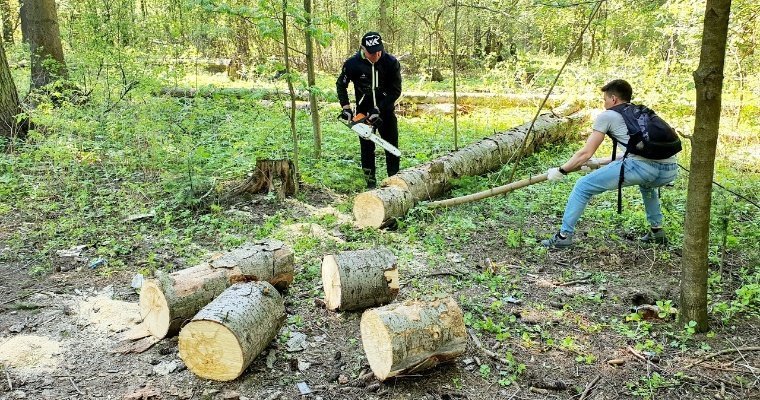 Ежегодный субботник в Буммашевском лесу Ижевска состоится 11 октября 