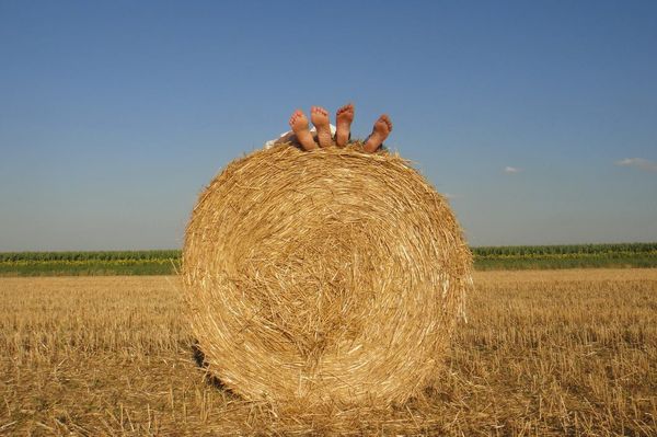 Знаки Удмуртии: домашние посиделки и период сенокоса