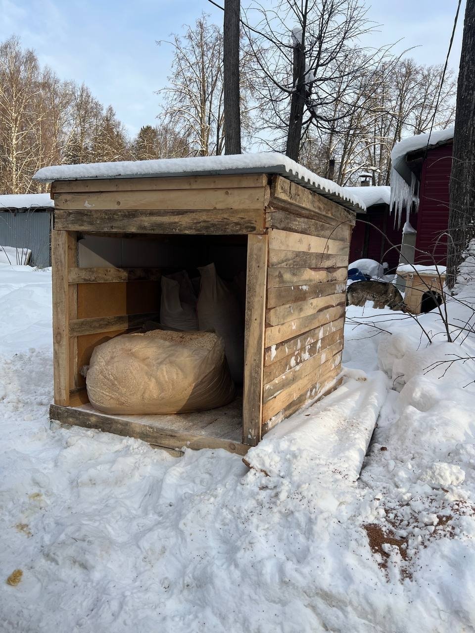 Ижевскому приюту «Кот и пёс» нужны волонтёры для стройки вольера