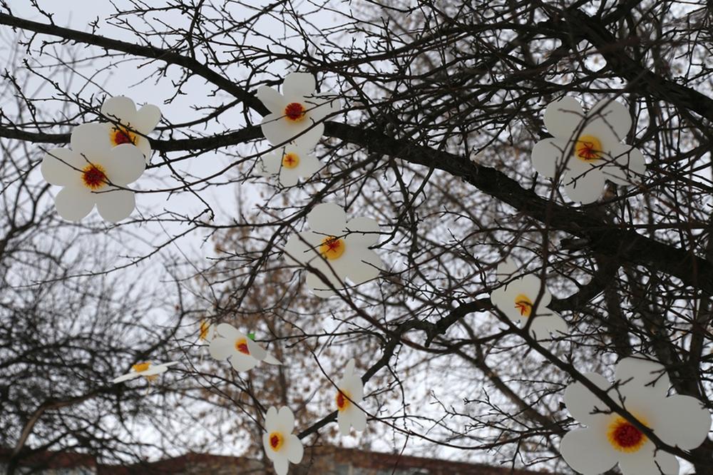 

Крымскую аллею в Ижевске украсили цветами 

