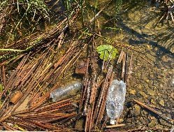 Специалисты Минприроды Удмуртии проверили место слива тёмной воды в Ижевский пруд