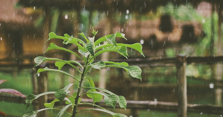 27 июня в Удмуртии ожидаются дожди