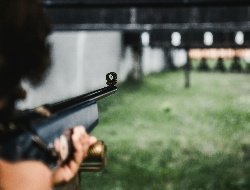 Стрелявший из пневматической винтовки молодой житель Ижевска извинился перед горожанами