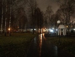 Новый сквер на закрытом кладбище в Ижевске, День преподавателя вуза в России и исторический рост биткоина: новости к этому часу