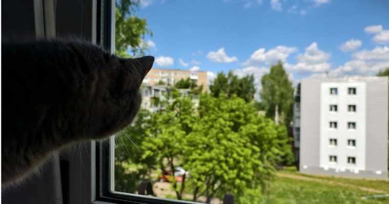 Картина дня: сохранение аномальной жары в Удмуртии и расчистка осушенного пруда в Можге