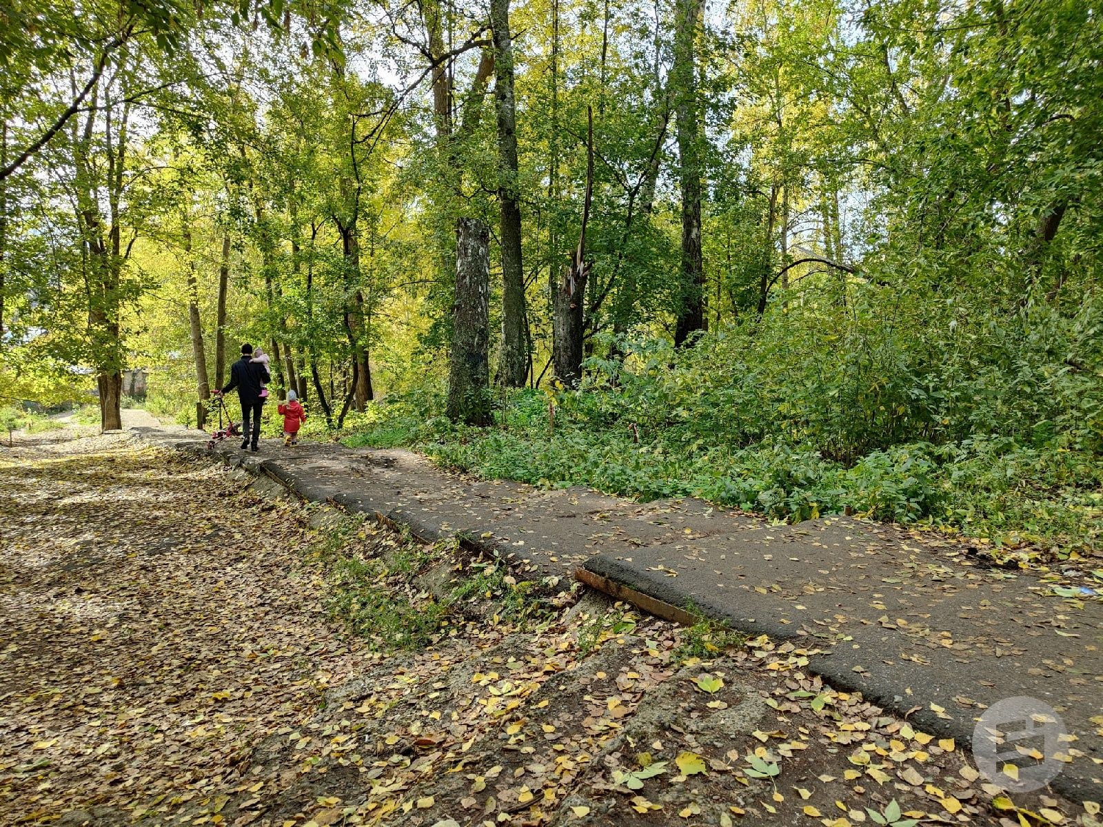 В Ижевске на время благоустройства ограничат проход через парк «Берёзовая  роща» // ИА Сусанин - проверенные новости Ижевска и Удмуртии, факты и  описания событий.