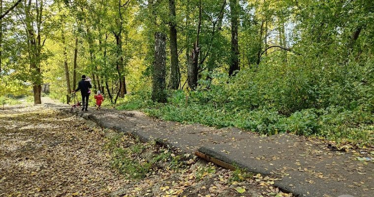 В Ижевске на время благоустройства ограничат проход через парк «Берёзовая роща»