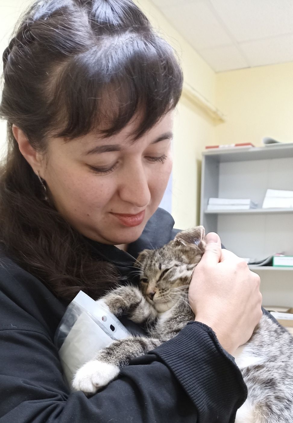 В Удмуртии нашли новую семью для спасённой в ДТП кошки