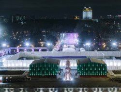 Мэр Москвы поручил уволить директора парка Горького после обрушения моста в новогоднюю ночь