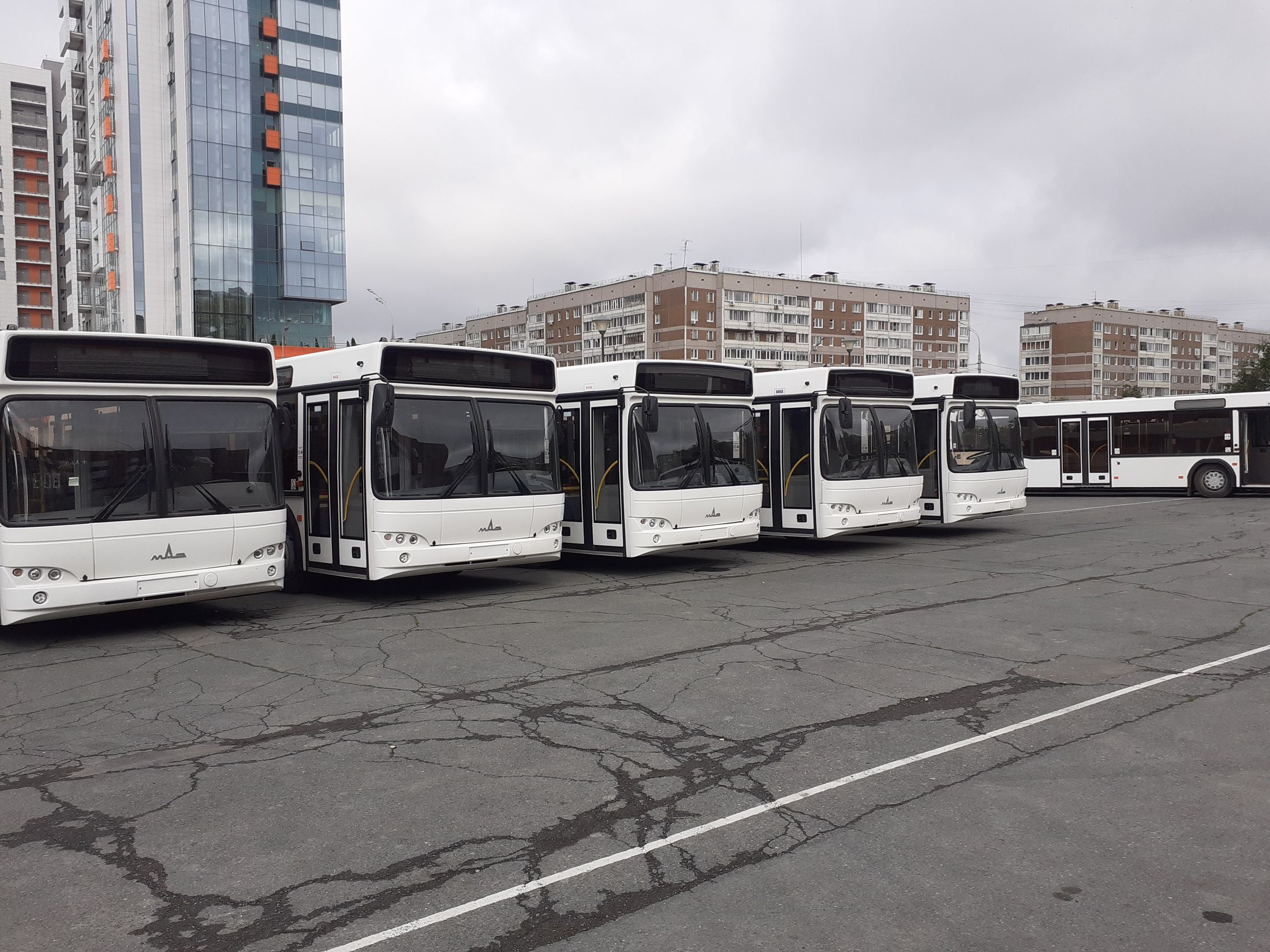 

В Ижевске вышли на маршруты 30 новых автобусов

