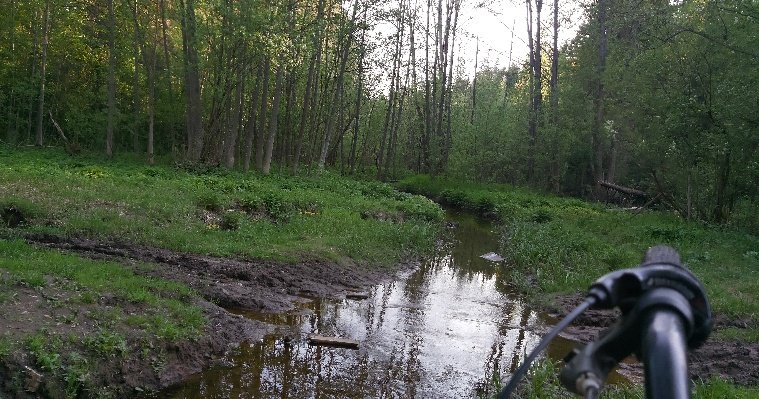 В Ижевске пройдёт субботник по очистке берегов речки Карлутка