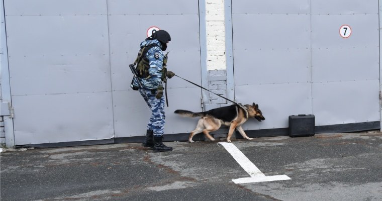 Антитеррористические учения прошли в Ижевске