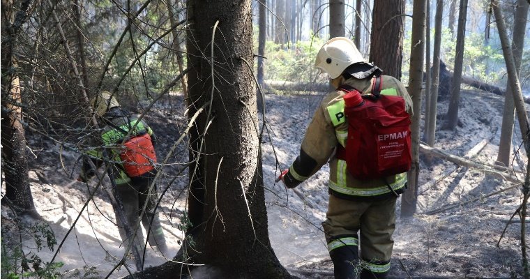 В Удмуртии произошёл первый в 2022 году лесной пожар