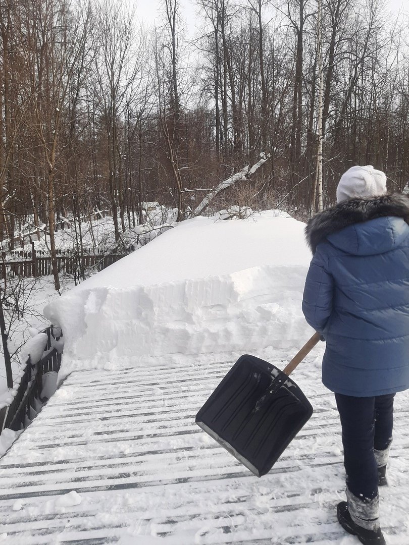Жителей Удмуртии просят помочь убрать снег с вольеров в приюте для бездомных животных