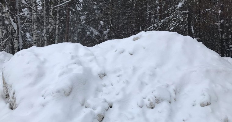 В Ижевске зафиксировали 23 случая незаконного складирования снега