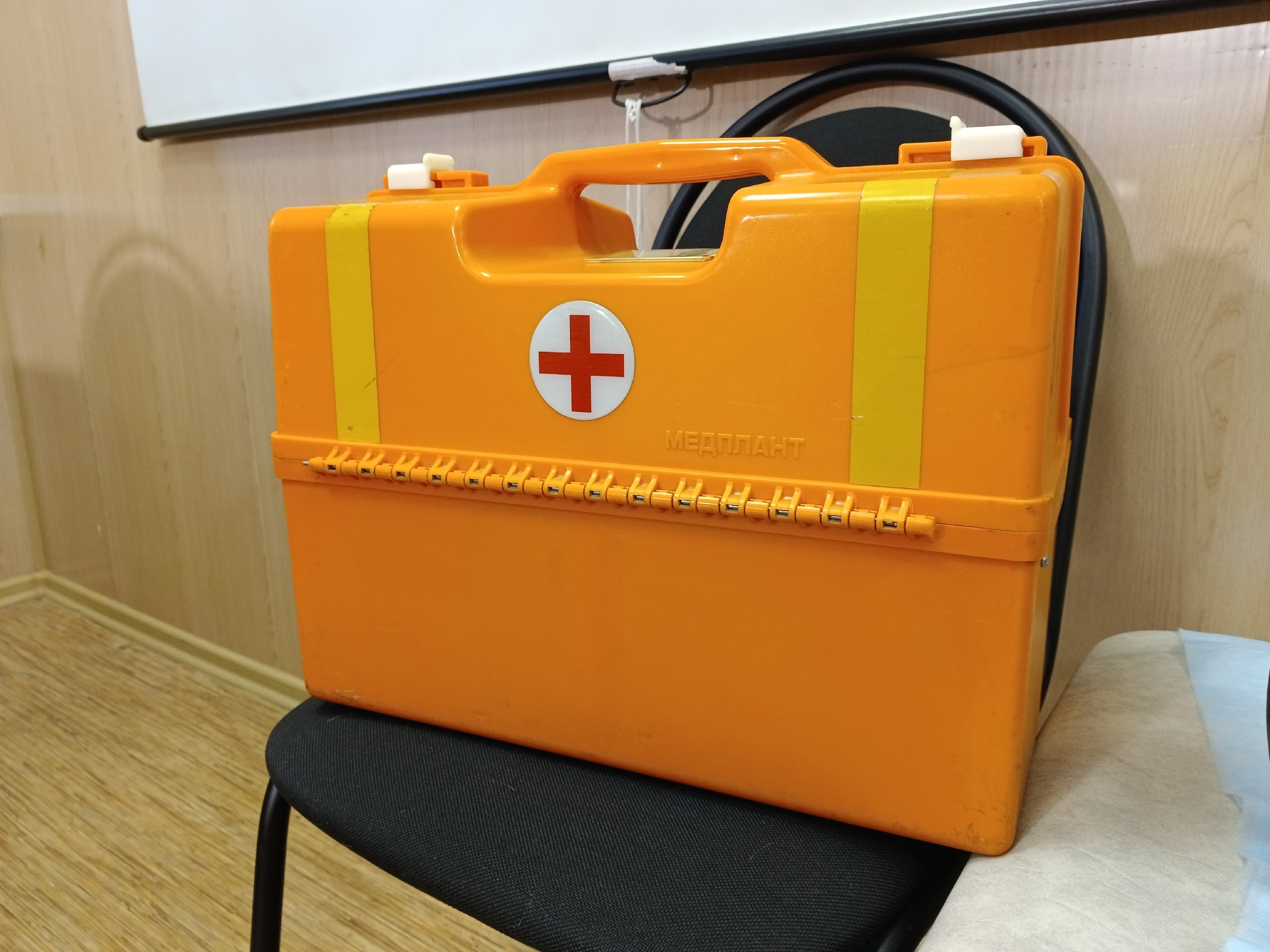 Житель Шарканского района в машине скорой помощи ударил женщину-фельдшера