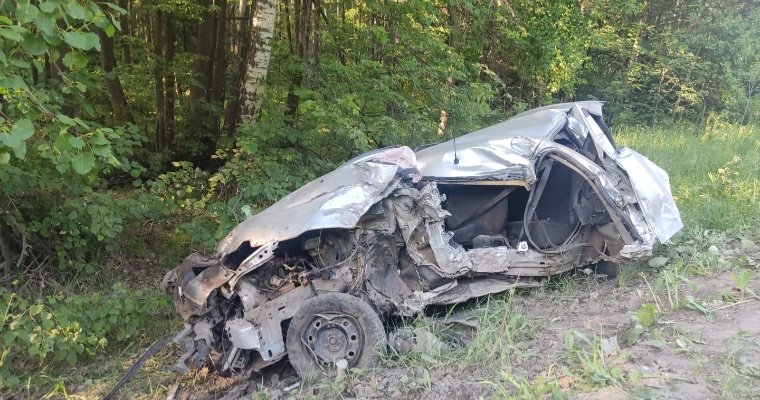 На дороге Ижевск-Аэропорт влетев в дерево погиб водитель «Рено Логан»