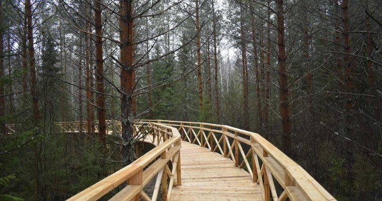 В деревне Старые Копки в Удмуртии закончили строительство моста на высоте трех метров 