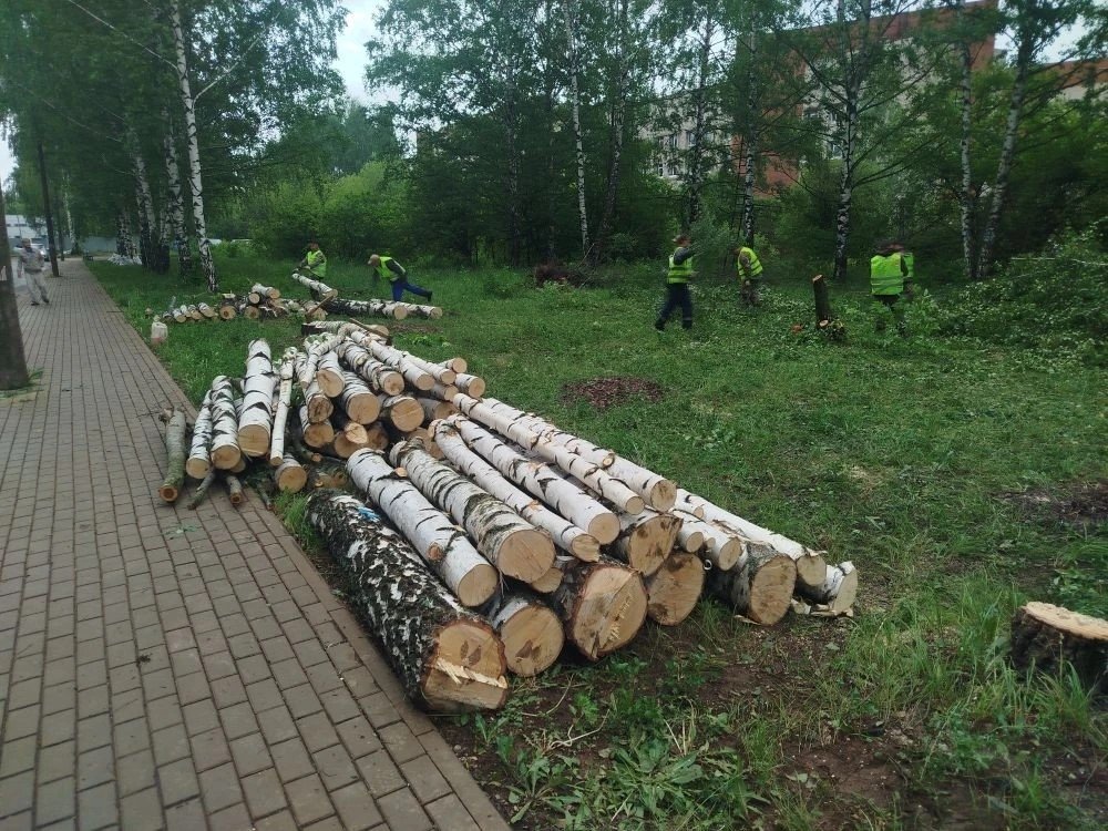 В Ижевске на площадке будущего модульного отделения ГКБ 6 вырубают деревья