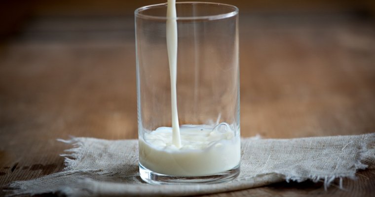 Более 4 тонн сухой молочной сыворотки уничтожили в Удмуртии
