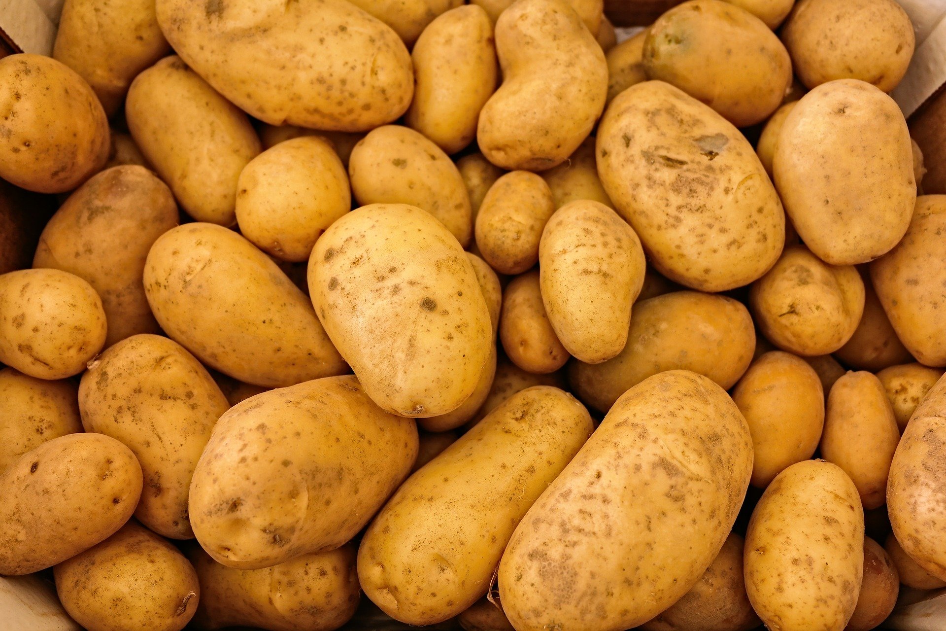 

Более 3 тыс тонн картофеля экспортировали из Удмуртии с начала года

