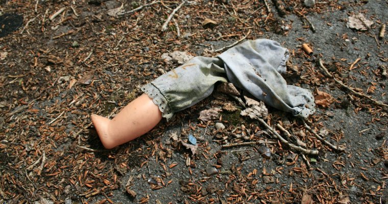 Двое детей погибли в Удмуртии, упав в компостную яму