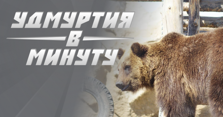 Удмуртия в минуту: ремонт дорог и проснувшиеся медведи