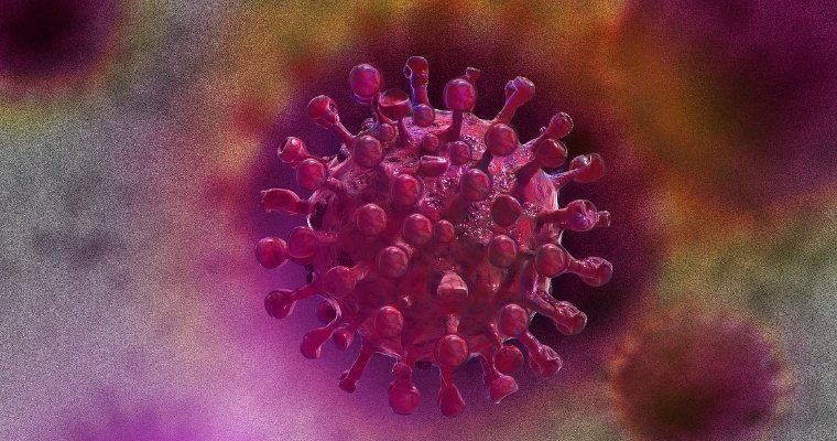 В Удмуртии выявили 43 новых случая заражения коронавирусом