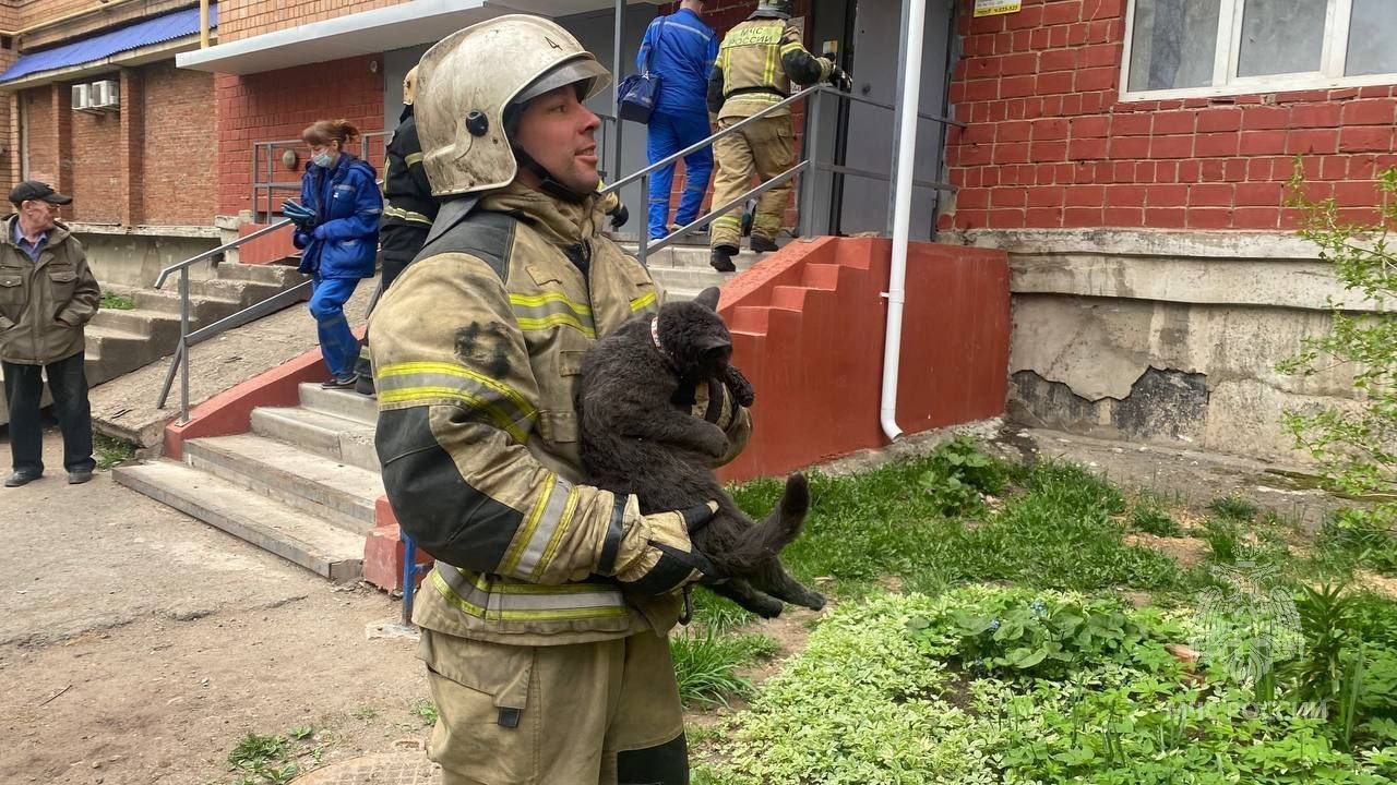 Из горящей квартиры на улице 9 Января в Ижевске пожарные спасли мужчину и кота