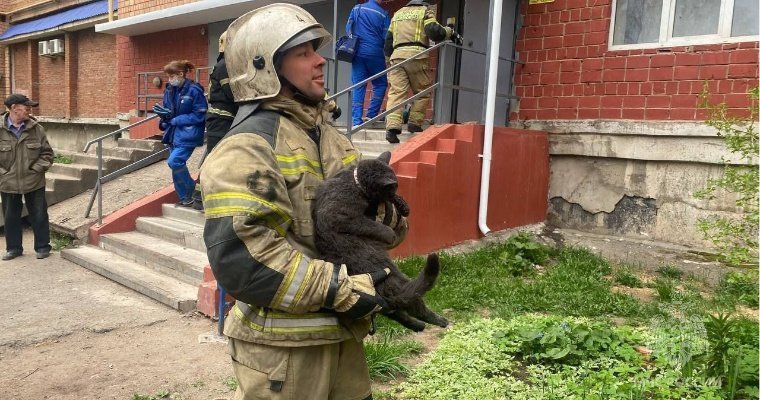 Из горящей квартиры на улице 9 Января в Ижевске пожарные спасли мужчину и кота