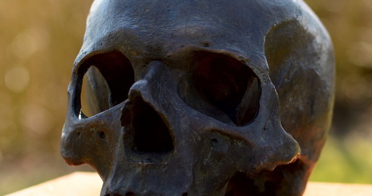 Прокладывавшие газопровод рабочие откопали человеческие кости в Сарапуле