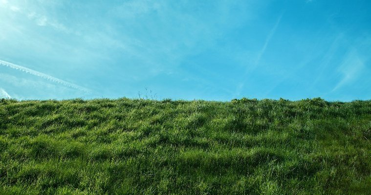Сарапульскую свалку на старом Ижевском тракте начнут засеивать травами в сентябре