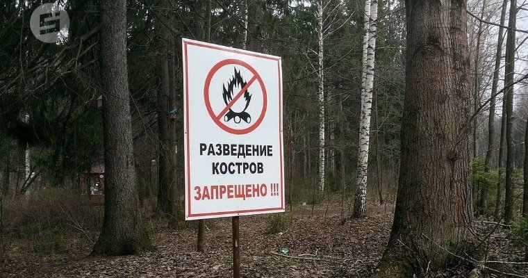 Особый противопожарный режим введут в селе Пугачево в Удмуртии с понедельника