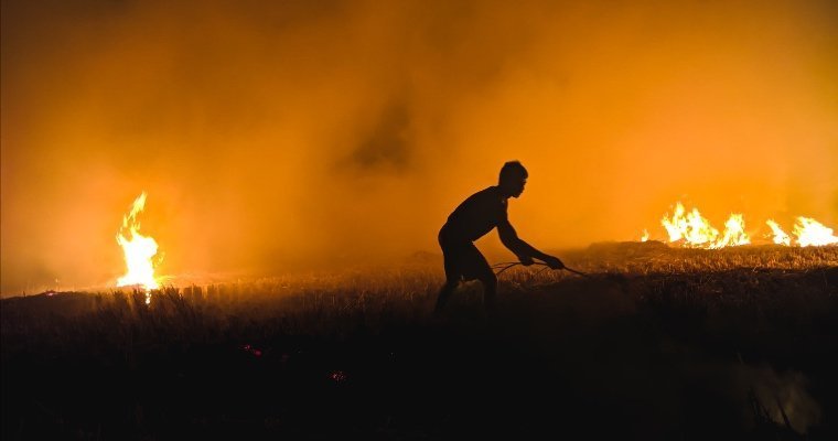 Лесной пожар произошёл в ижевском парке Кирова 
