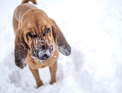 Потепление начнется в Удмуртии в пятницу