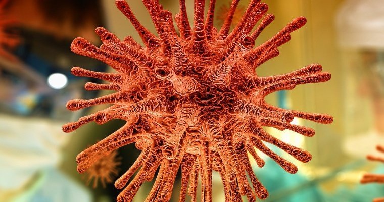 В Удмуртии подтвердили два случая коронавирусной инфекции