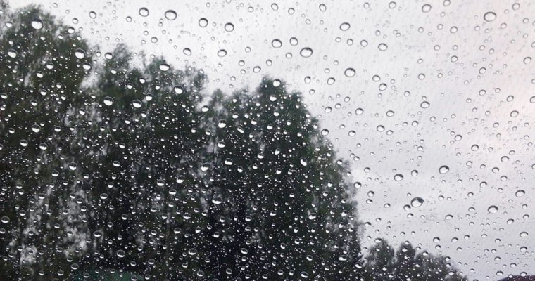 Жителей Удмуртии предупредили о сильных дождях и ветре