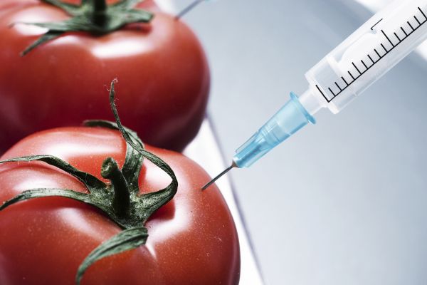 Житель Испании стал первым человеком в Европе, который умер от продуктов с ГМО