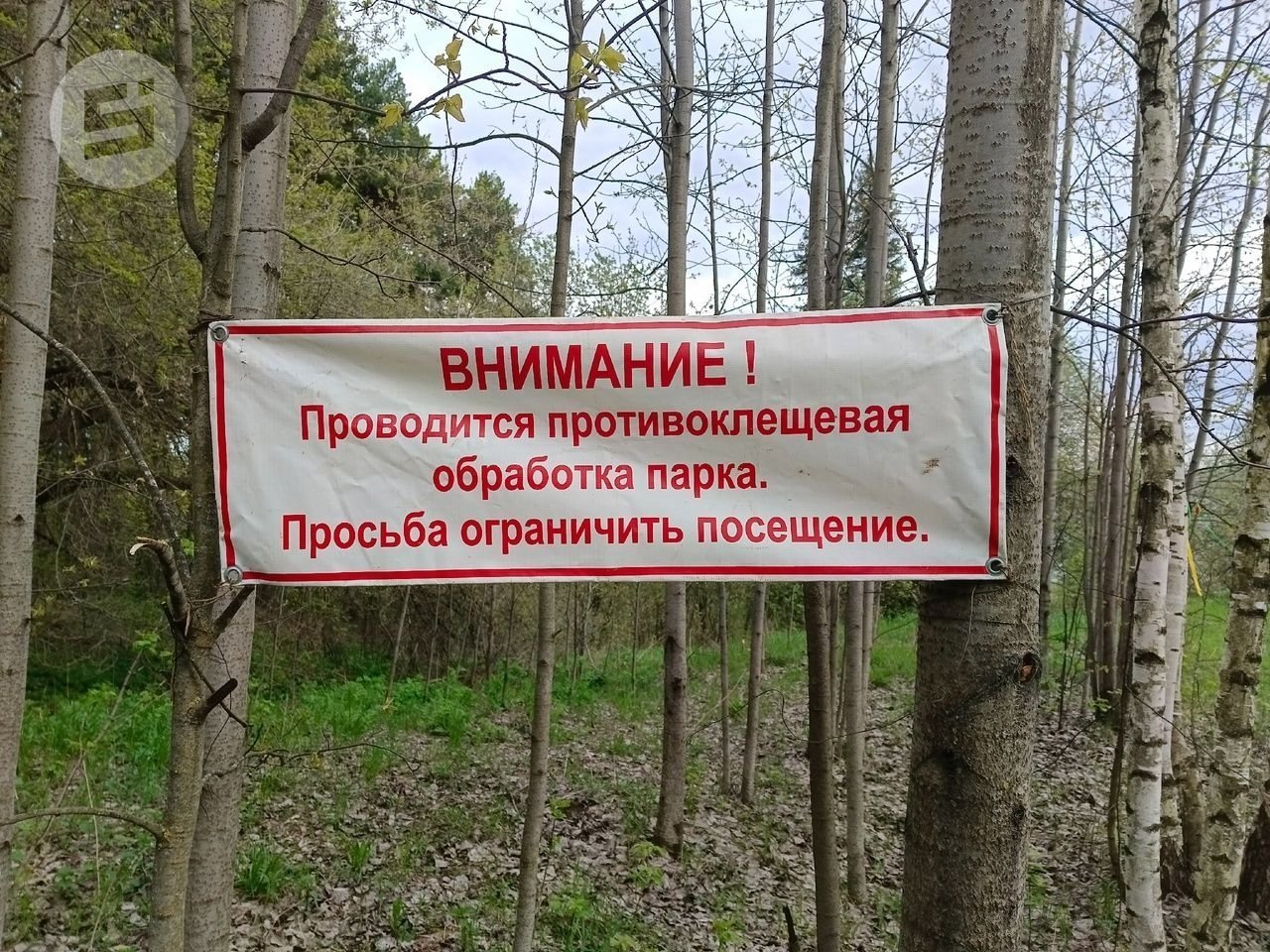 В Удмуртии зарегистрирован первый случай присасывания клеща в 2026 году