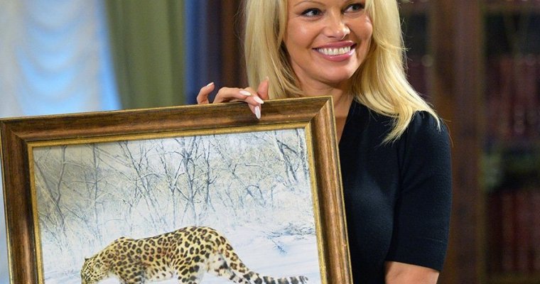 Памела Андерсон порадовалась за жительницу «Земли леопарда», у которой появилось потомство