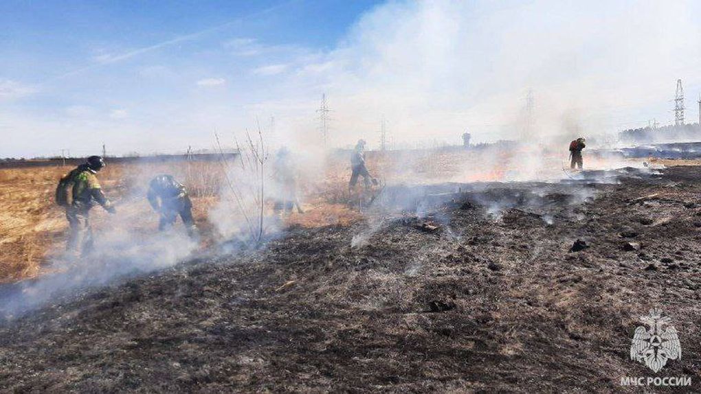 Сухая трава загорелась на улице Союзной в Ижевске