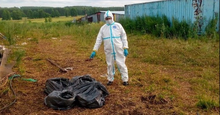 В удмуртской деревне Якшур начали уборку после массового побега кур 