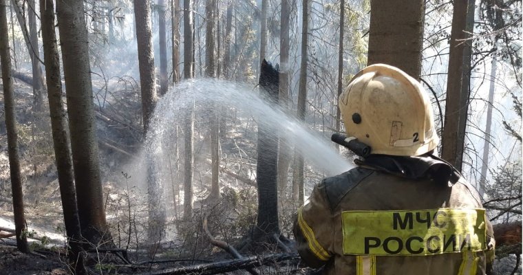 В Удмуртии прокуратура проверила парк «Нечкинский», где в результате пожара пострадало 55 га леса 