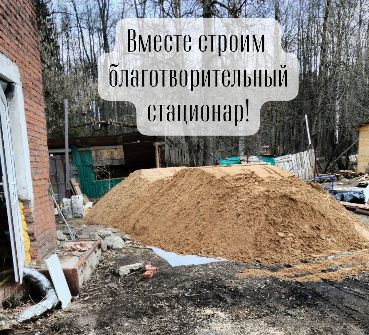 В Ижевске приют «Кот и пёс» ищет добровольцев для помощи в строительстве благотворительного стационара