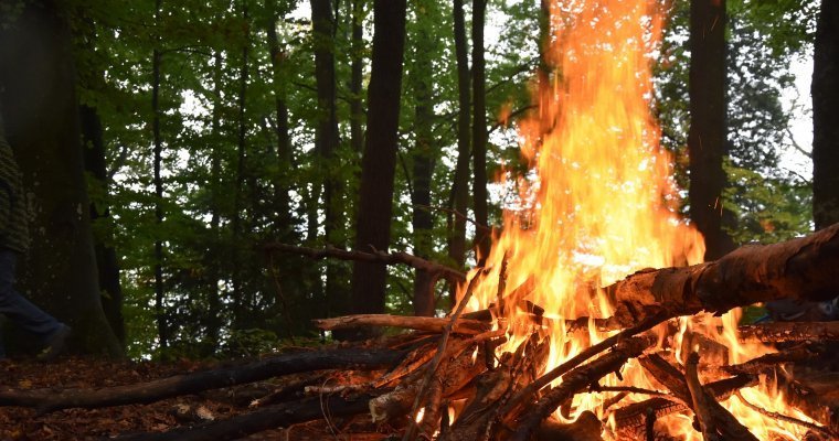 Запрет на разведение костров в лесах Удмуртии продлили до сентября 
