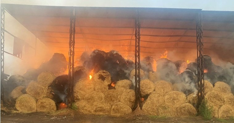 Пожар на складе колхоза «Родина» в Удмуртии ликвидировали к утру 3 августа 