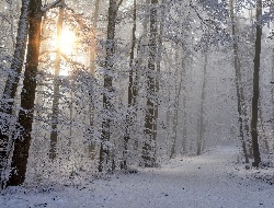 Небольшой снег ожидается в Удмуртии 14 декабря