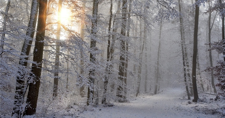 Небольшой снег ожидается в Удмуртии 14 декабря