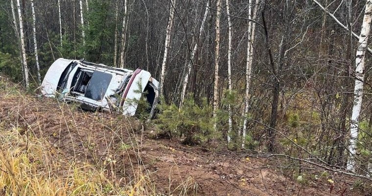 Пьяный водитель вылетел в кювет и перевернулся на трассе в Удмуртии